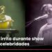 Silva xinga Luísa Sonza, Virgínia, Serginho Groismann e ‘dinheiro do agro’ em show