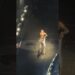 “Whatcha Doing”live in Toronto 🇨🇦 duringRadicalOptimismtour25 ❤️#dance #toronto #canada #ussr #dl3
