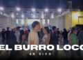El Burro Loco [En Vivo] Grupo La Realeza de Oaxaca // Kerman Ca. 2025