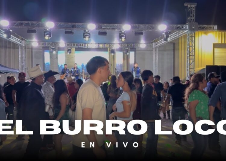 El Burro Loco [En Vivo] Grupo La Realeza de Oaxaca // Kerman Ca. 2025