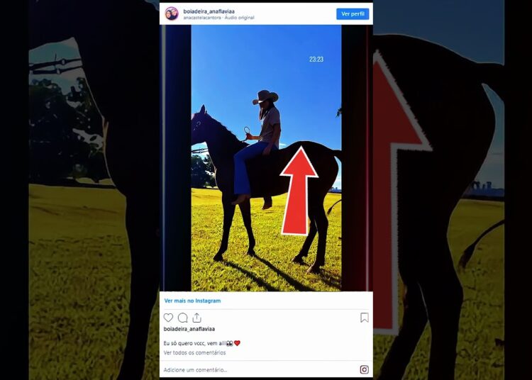 Rolê romântico nas redes de Zé Felipe