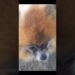 Sua realeza Charlie #shortsviral #petsfofinhos #pets #cachorro #modapet #cachorrosdivertidos