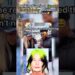 Ranking Top 5 Funniest Guess The Celebrity Moments
