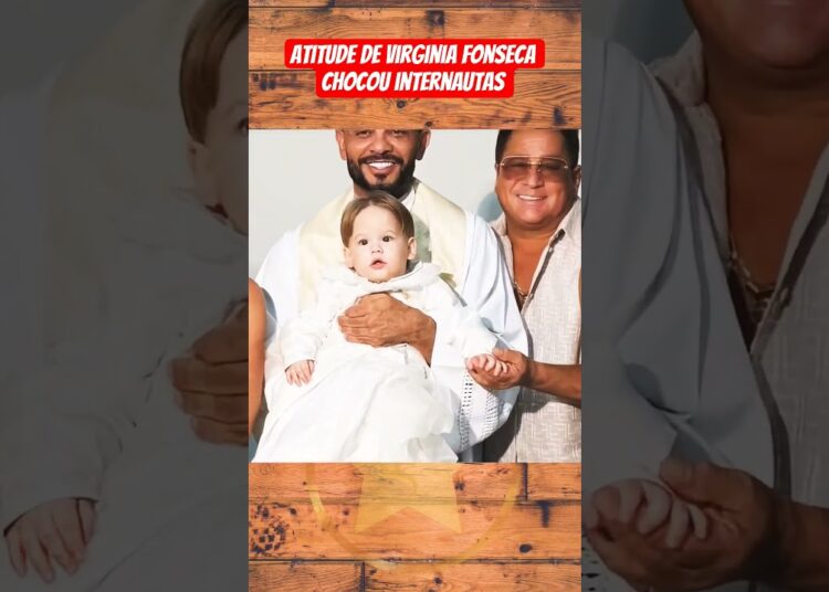 Atitude de Virginia deixou internautas confusos #famosos #fofocas