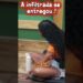 A infiltrada se entregou #afazenda #afazenda17 #fofocas #fofocasdosfamosos