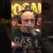 😎Joe Rogan😎 Having Crows As Pets