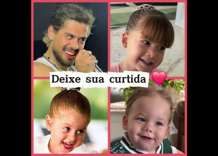 QUAIS DOS FILHOS PARECE COM ZÉ FELIPE #zefelipe #virginiafonseca #shots #fofoca #fofocas