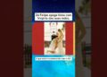 Zé Felipe apaga fotos com Virginia das suas redes. #noticias #fofocas #ultimasnoticia