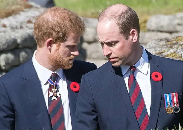 A briga do príncipe Harry com o príncipe William deixa o rei Charles capturado em Royal Crossfire: especialistas