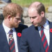 A briga do príncipe Harry com o príncipe William deixa o rei Charles capturado em Royal Crossfire: especialistas