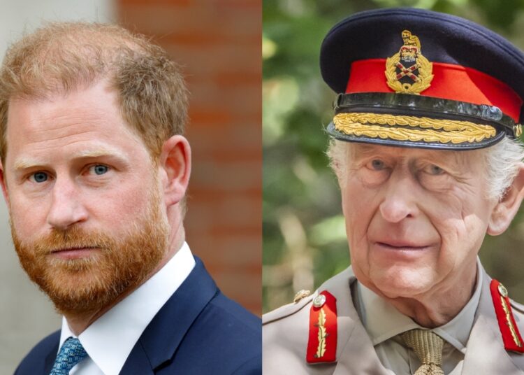 'A coisa toda é uma bagunça': os planos da reunião do príncipe Harry e do rei Charles implodir