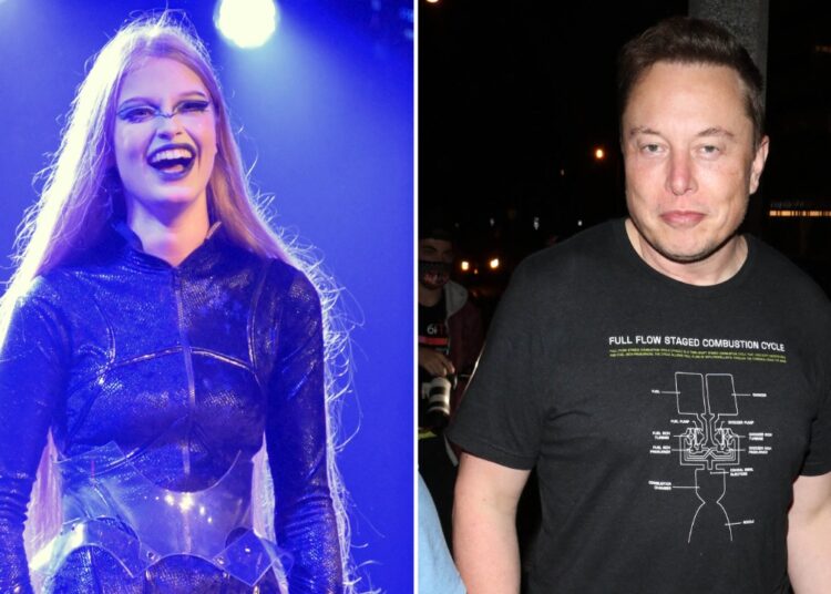 A filha de Elon Musk, Vivian Wilson, afirma que não tem 'herança', planeja ir para a faculdade comunitária - National Enquirer