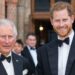 A motivação do príncipe Harry para o rei Charles Reunion revelou - notícias de celebridades - entretenimento