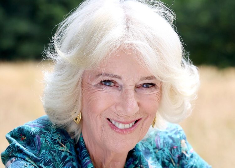A rainha Camilla disse a Boris Johnson que ela foi atacada em um trem quando adolescente, novo livro reivindicações | Notícias do Reino Unido