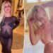 Amigos de Britney Spears, família preocupada quando Singer está morando em mansão bagunçada coberta de cocô de cachorro