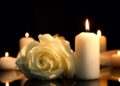 Atriz de vários filmes clássicos morre às 99: RIP para Marilyn Knowlden
