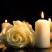 Atriz de vários filmes clássicos morre às 99: RIP para Marilyn Knowlden