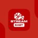 Autoridades egípcias, Aliança para Criatividade e Entretenimento Desligue o Site de Pirataria do Stream East