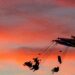 Best events, festivals and things to do in Phoenix in fall 2025