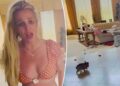 Britney Spears defende morar em mansão bagunçada coberta de cocô de cachorro