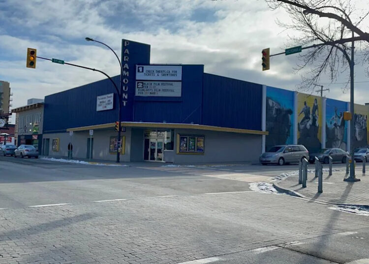Cinemas independentes e filmes canadenses precisam do seu apoio, diz a indústria