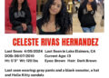 D4VD supostamente gravou uma música chamada "Celeste", mesmo nome que Teen Girl encontrou morto em seu Tesla