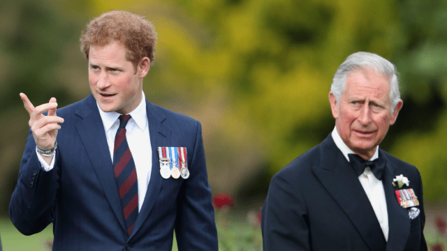Declaração do príncipe Harry sobre a zombaria do rei Charles Sparks entre os observadores reais