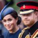 Drama real: o príncipe Harry e as lutas em andamento de Meghan Markle
