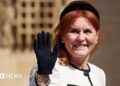 Duquesa de York Sarah Ferguson removida da caridade por e -mail de Epstein