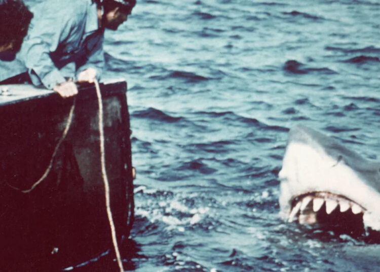 Este ator 'Jaws' ainda está ganhando milhares de bits parte 50 anos depois