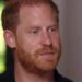 Expressão 'triste' do príncipe Harry ao discutir William e 'nostálgico' - Notícias de celebridades - entretenimento