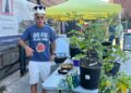 Fig Fest NYC