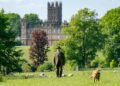 Finale To Dorset Creator Abbey Films é uma 'conclusão sincera'