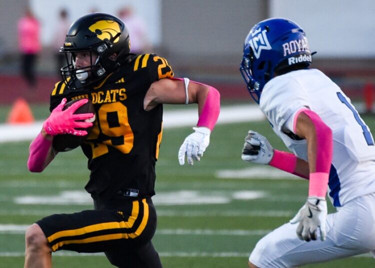 Futebol: NLS Wildcats lida com o Watertown-Mayer Royals-West Central Tribune