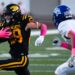 Futebol: NLS Wildcats lida com o Watertown-Mayer Royals-West Central Tribune