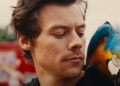 Harry Styles usa aliases como 'Sir Dick' para viver uma vida secreta, dizem fontes