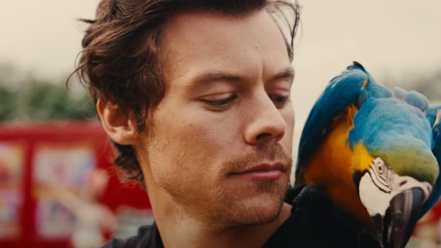 Harry Styles usa aliases como 'Sir Dick' para viver uma vida secreta, dizem fontes