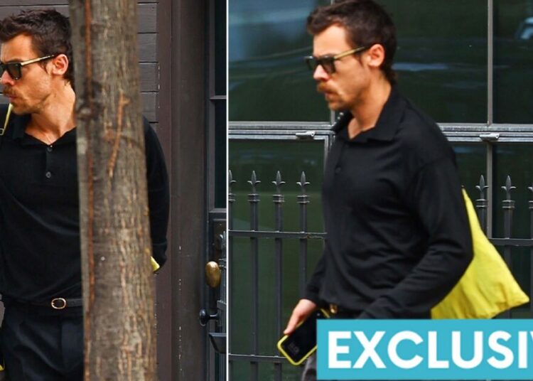 Harry Styles visto deixando o apartamento de Zoë Kravitz em meio a rumores de romance - notícias de celebridades - entretenimento