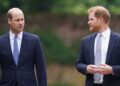 Harry e William para se reunir em 'Future não muito distante'-Notícias de celebridades-entretenimento