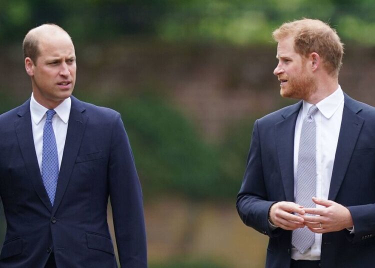 Harry e William para se reunir em 'Future não muito distante'-Notícias de celebridades-entretenimento