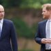 Harry e William para se reunir em 'Future não muito distante'-Notícias de celebridades-entretenimento