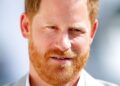 Harry instou a levar as coisas 'devagar' após Charles Reunion - Celebrity News - entretenimento