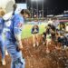 Homer Sparks Royals de Perez para vencer contra gêmeos