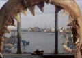 Jaws Rerelease vence dois novos filmes nas bilheterias e cinemas precisam tomar nota