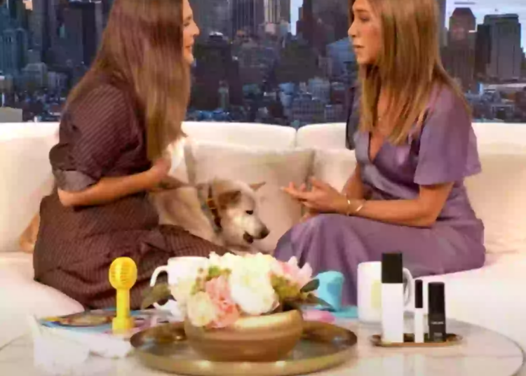Jennifer Aniston ficou real com Drew Barrymore (The Drew Barrymore Show)