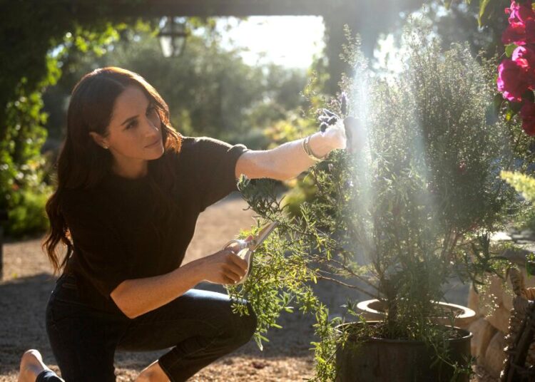 Meghan Markle deveria voltar a agir em vez de fazer 'com amor'