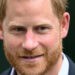 O futuro do príncipe Harry dentro da família real revelou como rumores de anúncios principais: Relatório