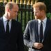 O príncipe Harry brinca sobre irmãos em meio ao príncipe William Feud