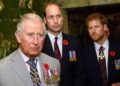 O príncipe Harry deve provar três coisas para o rei Charles para curar o Royal Rift