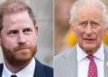 O príncipe Harry espelhou o rei Charles durante a viagem do Reino Unido, pois o gesto envia mensagem - Celebrity News - entretenimento